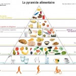 pyramide-alimentaire-belge